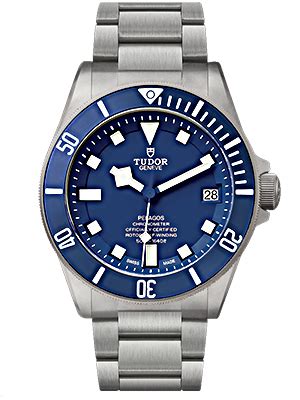 tudor pelagos alternatives|tudor stainless steel alternative.